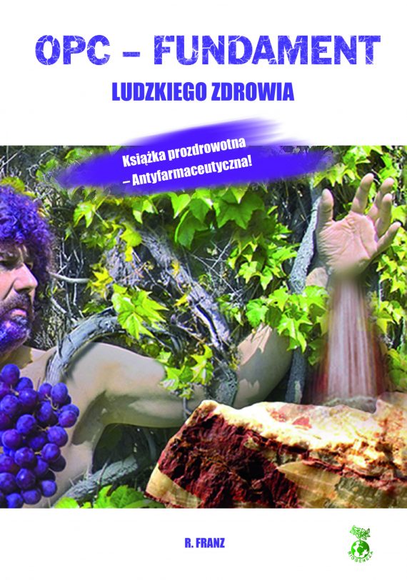 Książka 