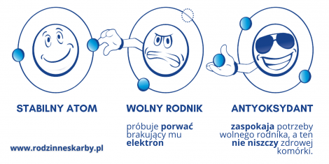 wolny rodnik jak dziala