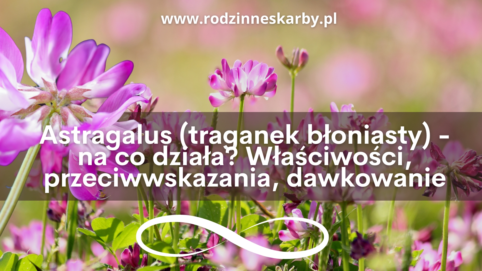 astragalus na co dziala wlasciwosci przeciwwskazania i dawkowanie