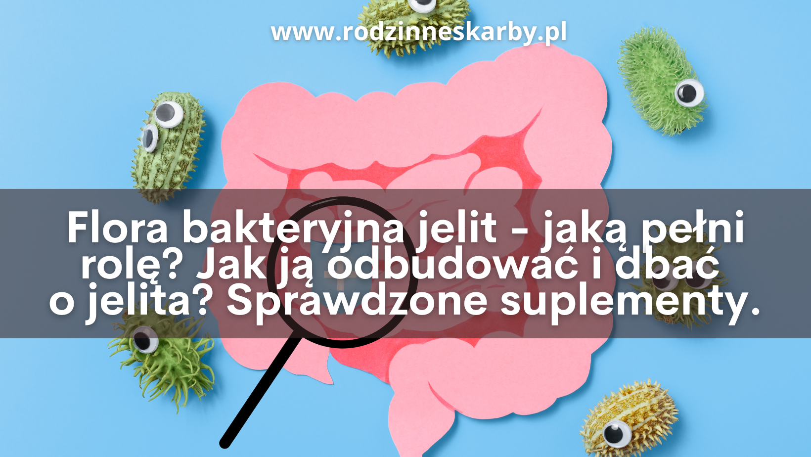 Jak odbudować florę bakteryjną jelit? Suplementy diety na odbudowę jelit.