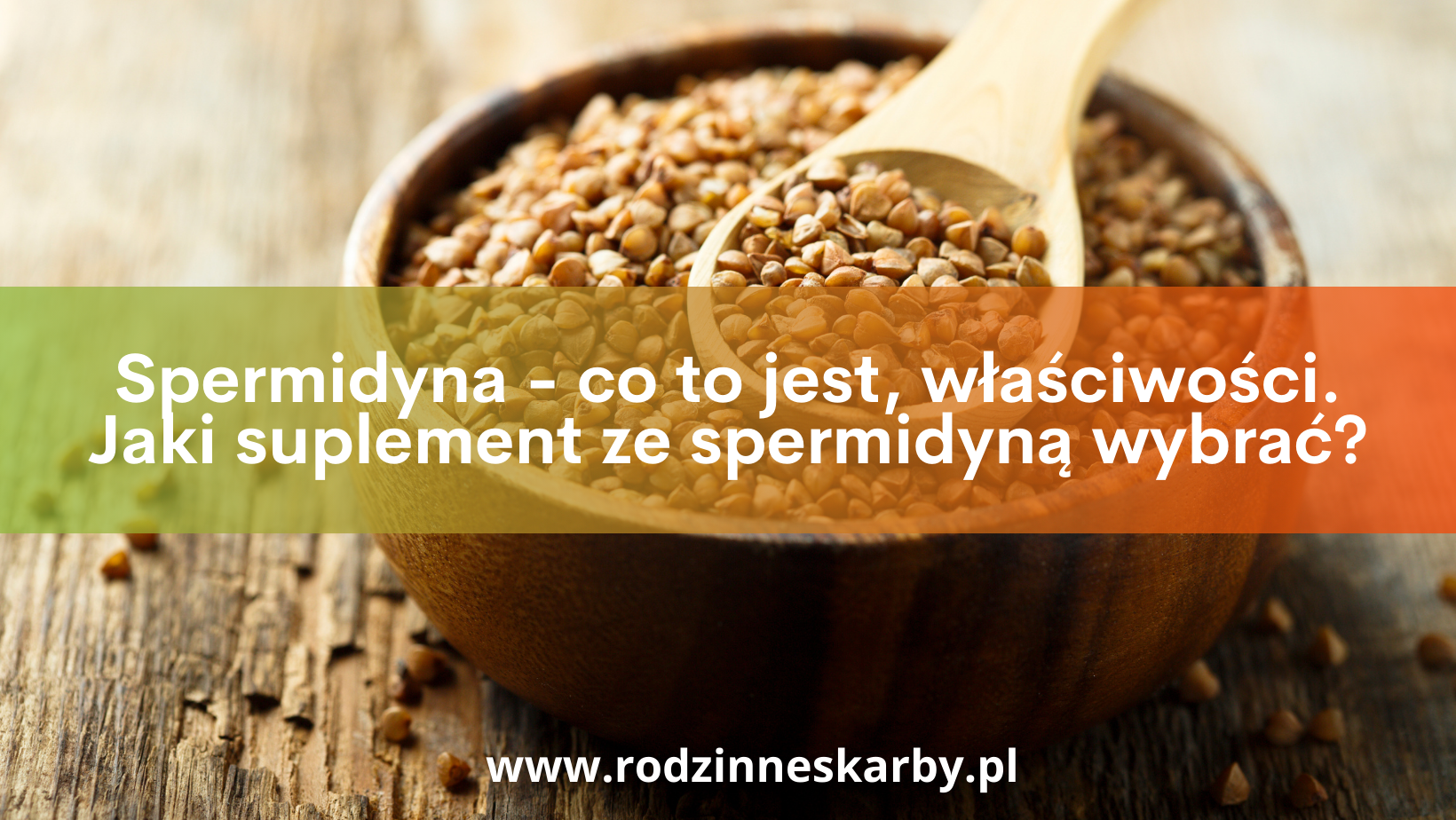 Spermidyna – co to jest, właściwości. Jaki suplement ze spermidyną wybrać?