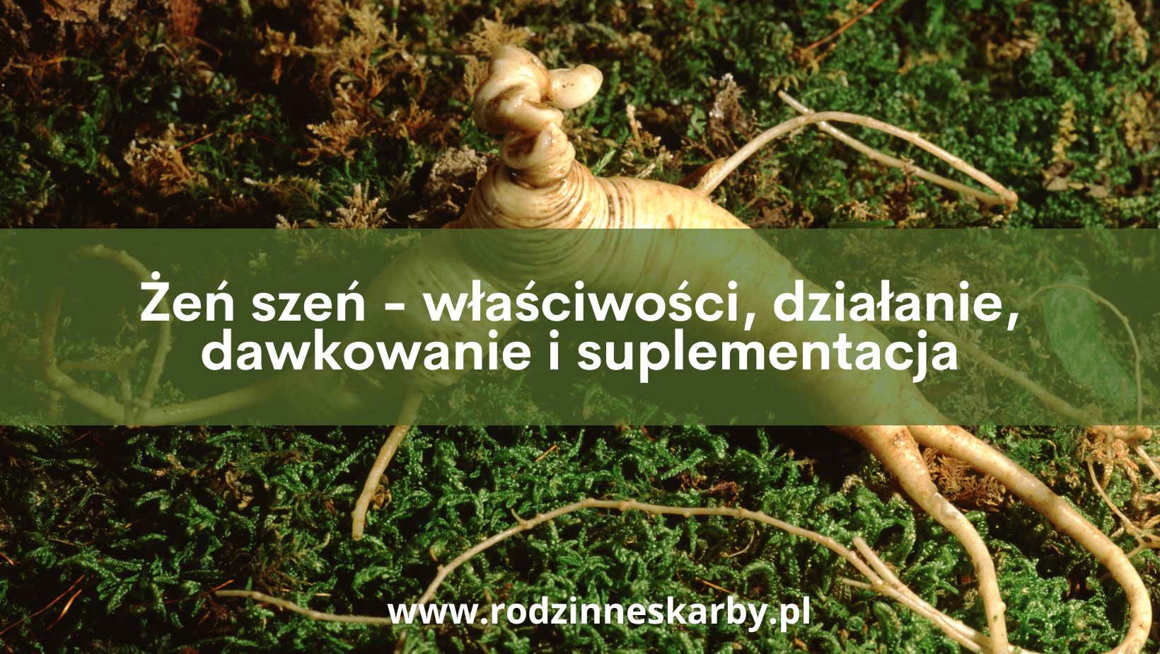 zen szen wlasciwosci dzialanie dawkowanie i suplementacja