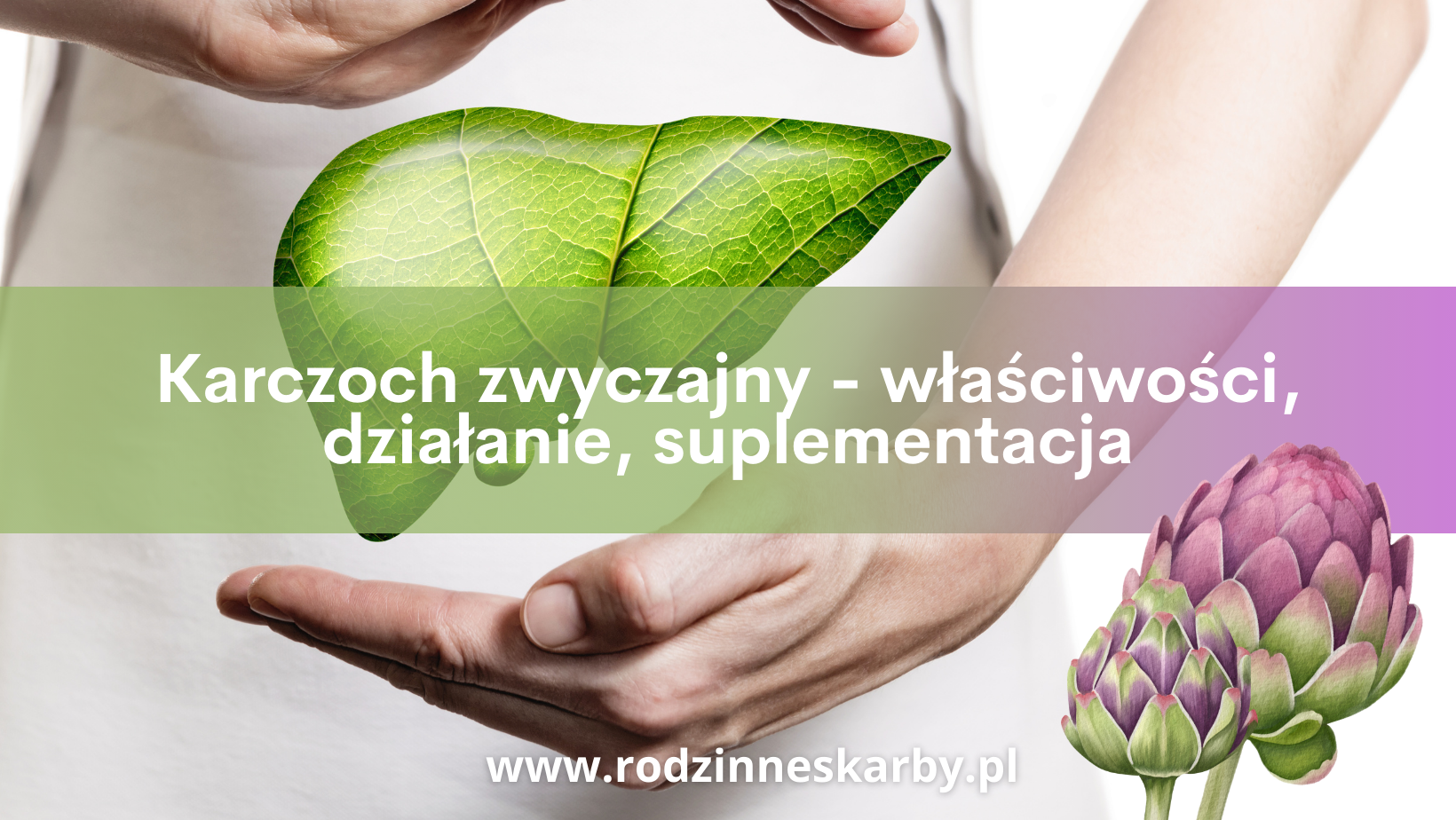 karczoch zwyczajny wlasciwosci dzialanie suplementacja