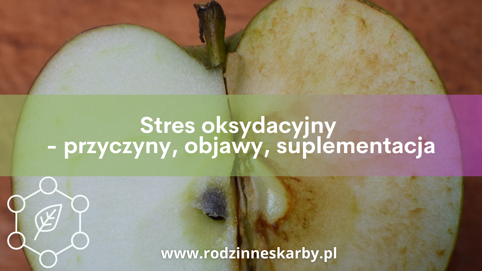stres oksydacyjny przyczyny objawy suplementacja