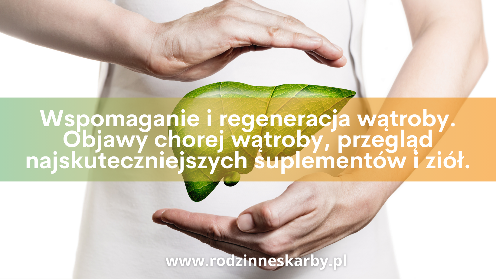 wspomaganie i regeneracja watroby