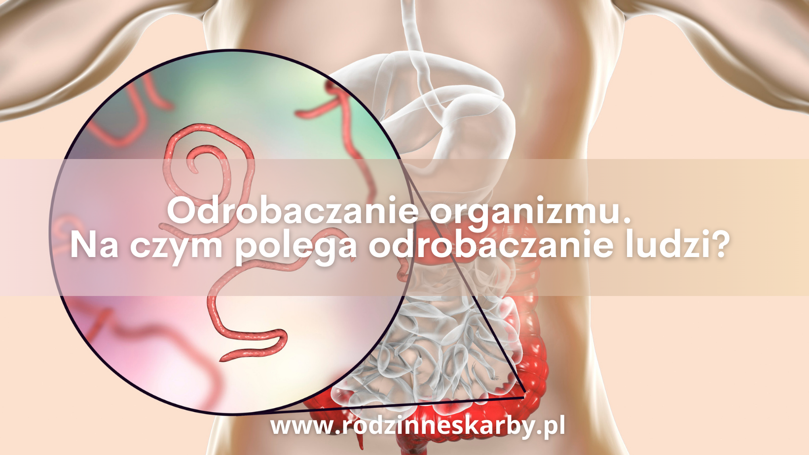 Odrobaczanie organizmu. Na czym polega odrobaczanie ludzi?