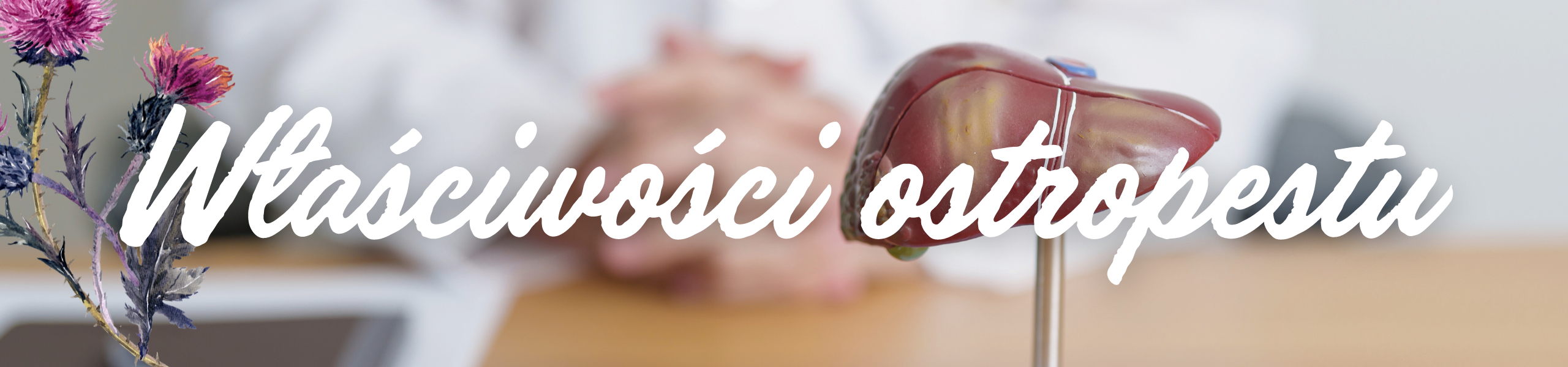 ostropest wlasciwosci