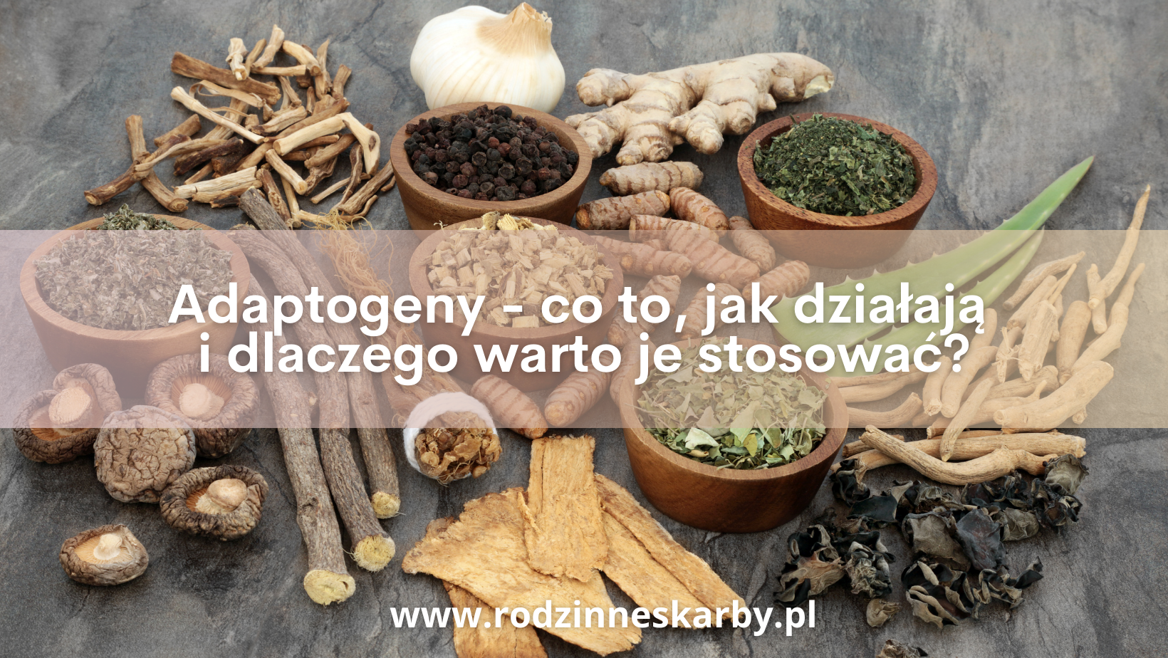 adaptogeny co to jak dzialaja i dlaczego warto je stosowac