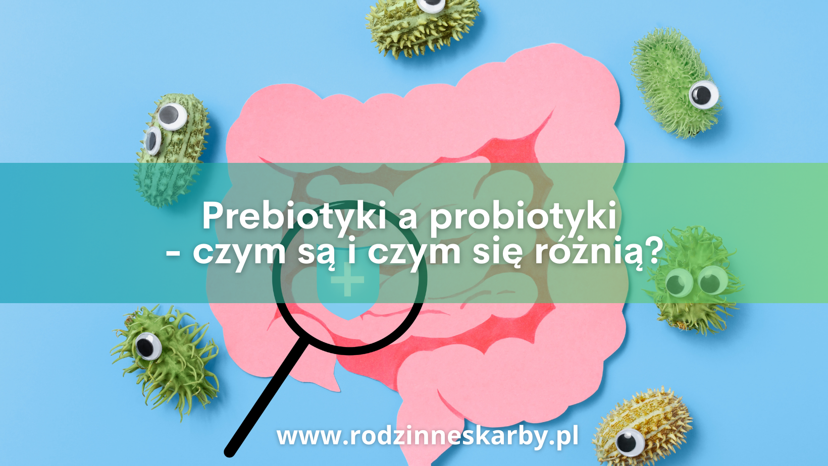 Prebiotyki a probiotyki – czym są i czym się różnią?