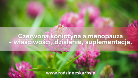 czerwona koniczyna a menopauza wlasciwosci dzialanie suplementacja