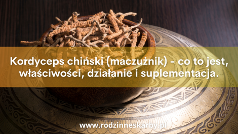 kordyceps chinski maczuznik co to jest wlasciwosci dzialanie i suplementacja