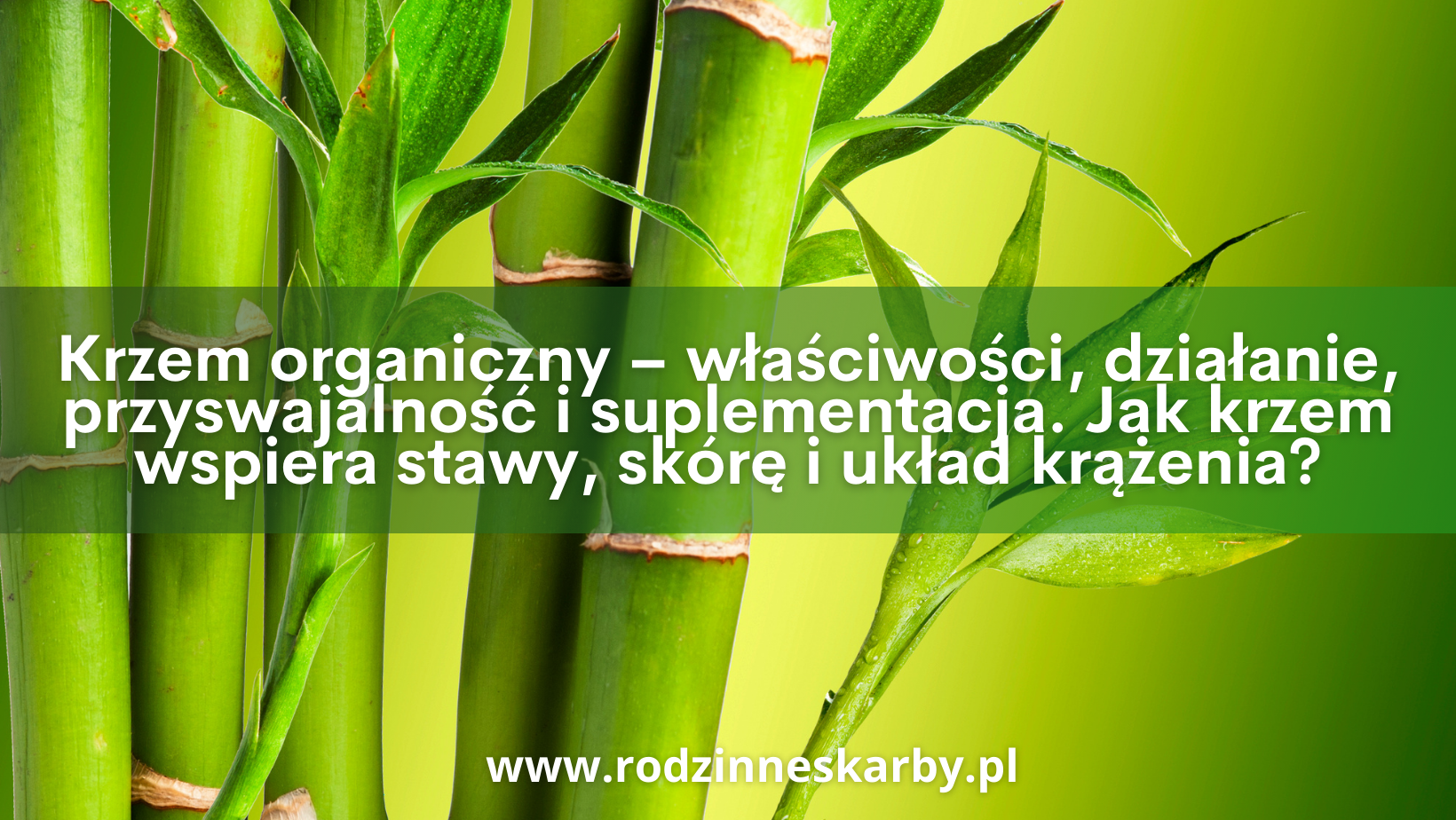 krzem organiczny wlasciwosci dzialanie-przyswajalnosc i suplementacja jak krzem wspiera,stawy skore i uklad krazenia